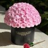 rosefidai